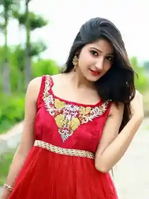 Amritsar Call Girl Service